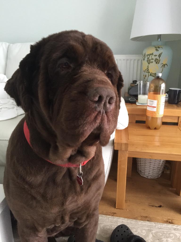 Harrison Food (OTRB) 🌈 tweet media