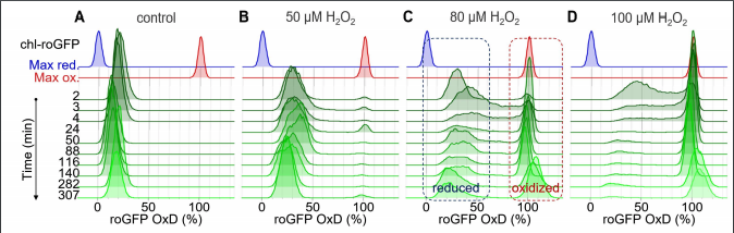 vardilab's tweet image. Super excited to share the incredible work of our PhD student Avia Mizrachi, freshly published in @eLife !!! elifesciences.org/articles/47732, exploring how light-dependent heterogeneity in the chloroplast redox state regulates cell fate in phytoplankton #SingleCell #Redox #microfluid