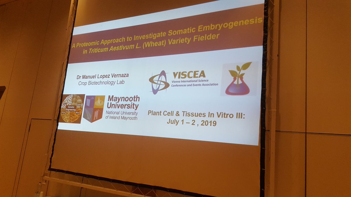 Presenting at PCIV our work <a href="/JimCarolanMU/">Jim Carolan</a> on #somaticembryogenesis in #wheat in <a href="/MaynoothBiology/">Maynooth Biology</a> Great feedback and really interesting discussions from the audience!
