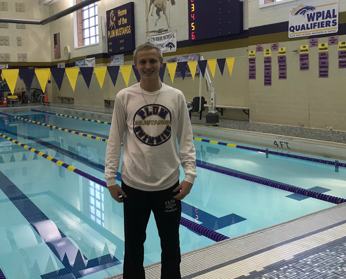 Plum Swimming tweet media