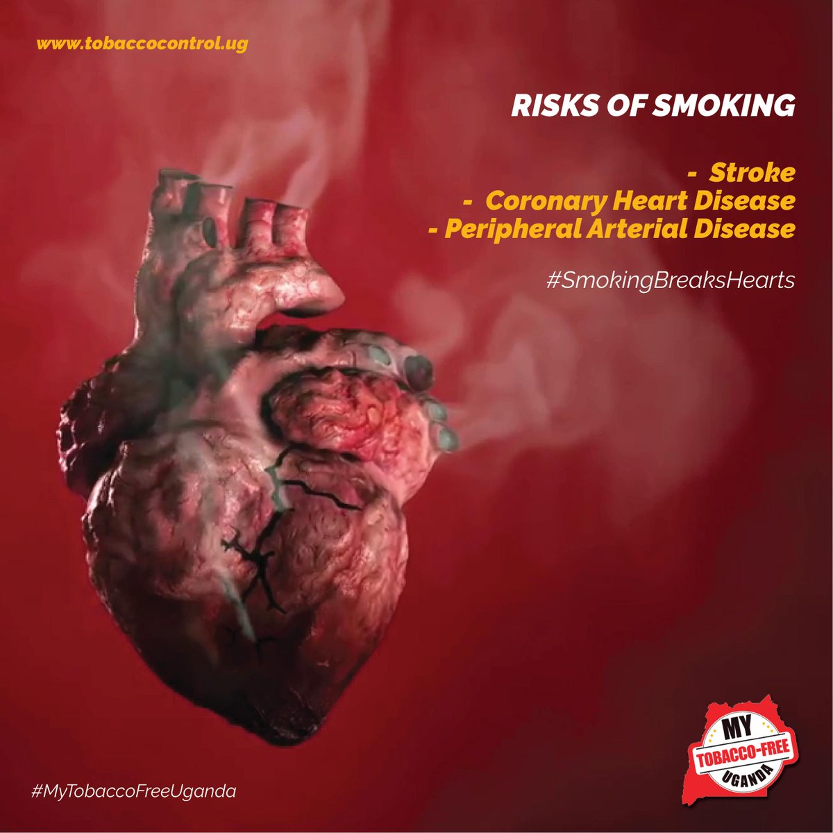 Heart After Smoking heart-after-smoking