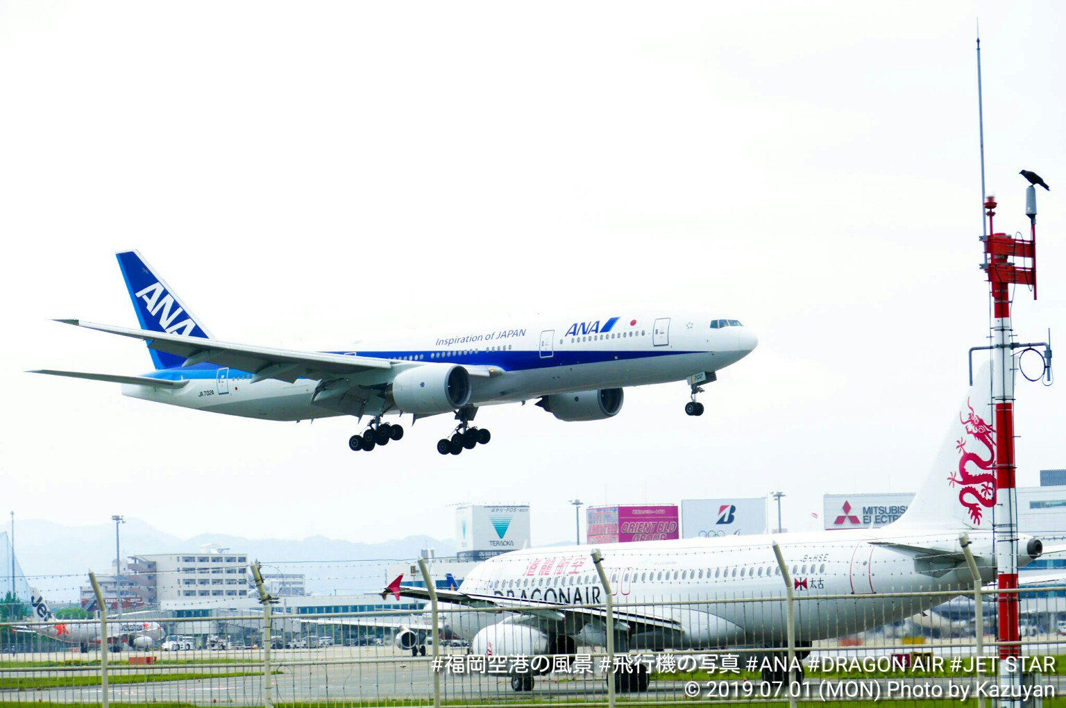 港龍航空 Twitter Search Twitter