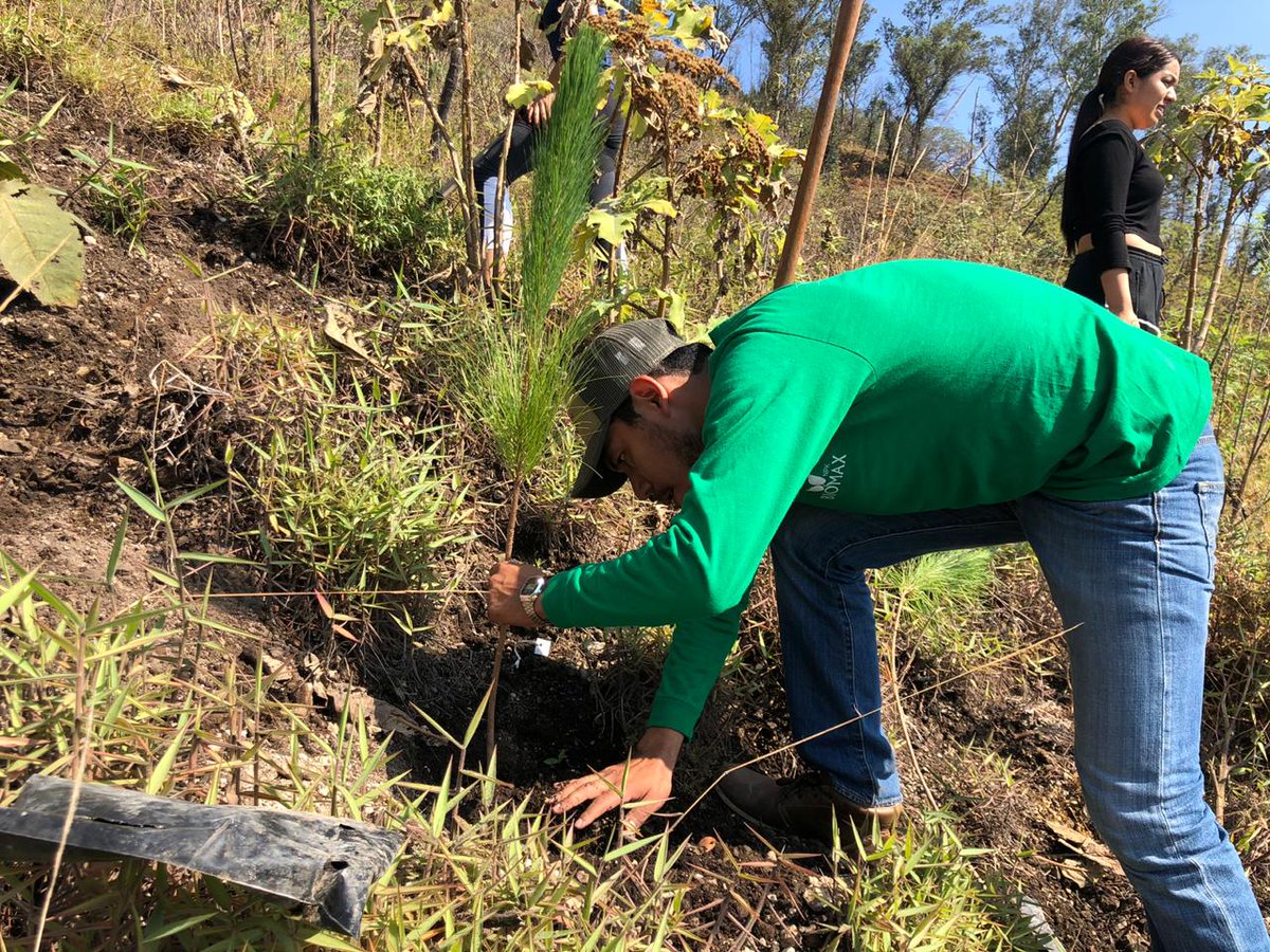 Compostverde's tweet image. En Terrasana, ayudamos al medio ambiente brindándole vida fértil a nuestro planeta.Es por eso que el día de hoy participamos en conjunto con SAN JUAN ECO FEST y cientos de voluntarios en la reforestación del cerro de San Juan🌲🏔 apoyando con Compost El Molino Verde.