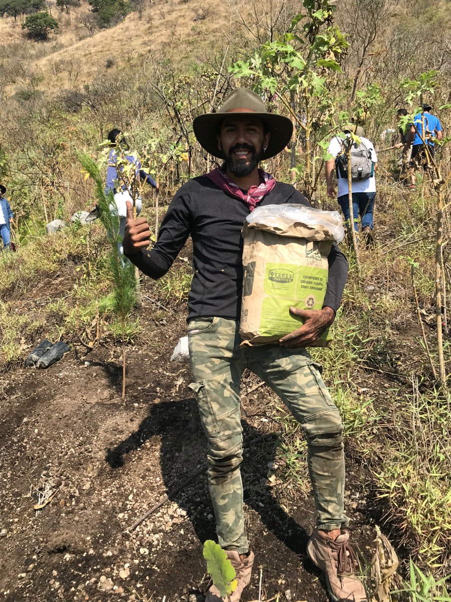 Compostverde's tweet image. En Terrasana, ayudamos al medio ambiente brindándole vida fértil a nuestro planeta.Es por eso que el día de hoy participamos en conjunto con SAN JUAN ECO FEST y cientos de voluntarios en la reforestación del cerro de San Juan🌲🏔 apoyando con Compost El Molino Verde.