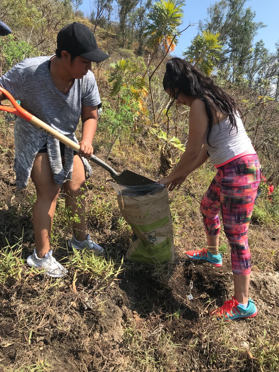 Compostverde's tweet image. En Terrasana, ayudamos al medio ambiente brindándole vida fértil a nuestro planeta.Es por eso que el día de hoy participamos en conjunto con SAN JUAN ECO FEST y cientos de voluntarios en la reforestación del cerro de San Juan🌲🏔 apoyando con Compost El Molino Verde.