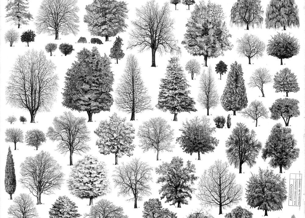 Culturability tweet media