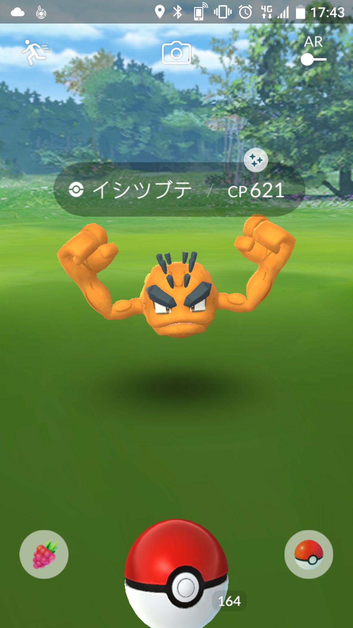 Team Muuhyan ポケモンgo アローラ色違い 岩手応援ポケモン イシツブテ 岩手県イベント はじまりましたね 岩手だけ イシツブテの色違い確率上がったんでしょうか 仕事終わりからのポケカツでイシツブテ色違い３体ゲット でも 他の色違い