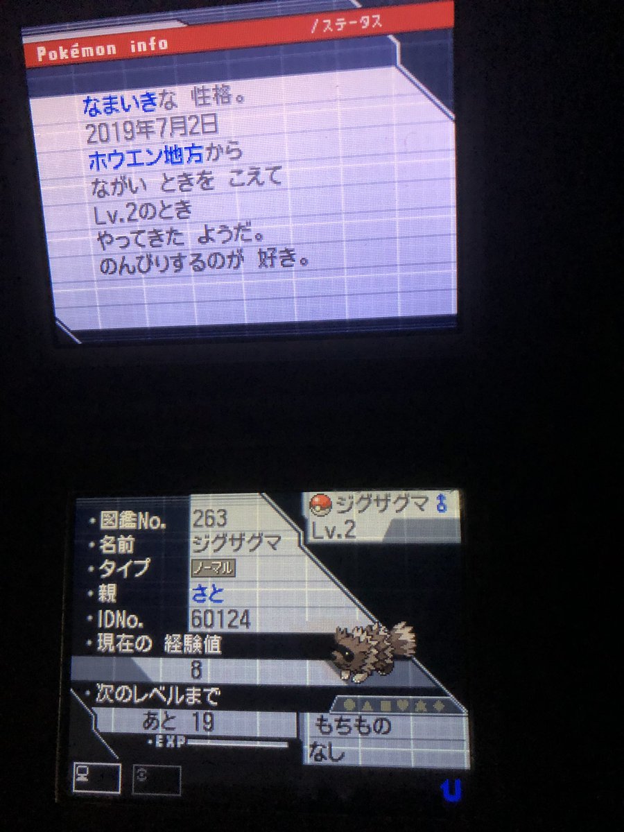 さと マリオファン ポケモン4年生 レトロゲーム好き この子がsmでシキジカに頭突き遺伝する為だけにホウエンから来たジグザグマさんです ポケモンbw2 ポケモンhgss ポケモンrse ポケモンsm