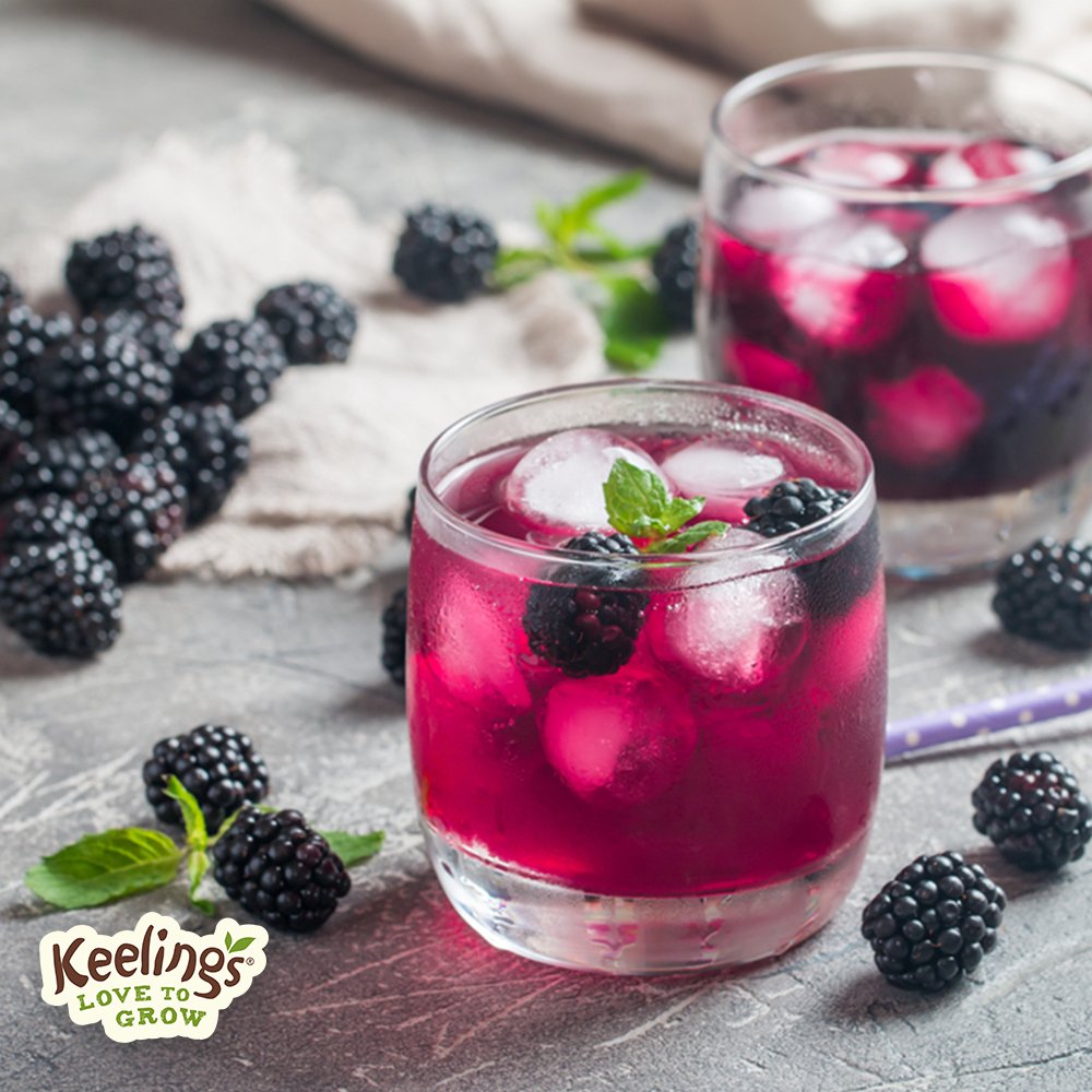 No matter what the weather, we can all agree that summer calls for a refreshing glass of Blackberry Lemonade! 
keelings.ie/recipes/blackb… 

#Keelings #KeelingsKitchen