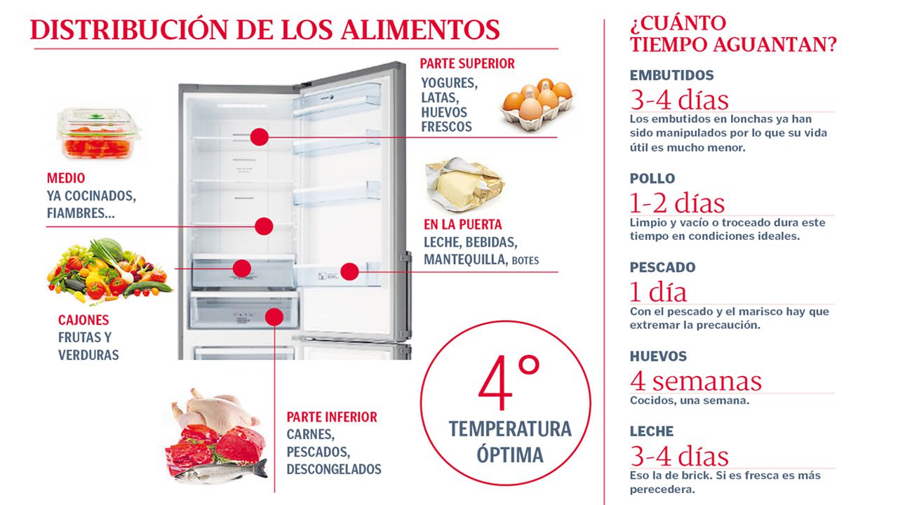 La importancia de colocar los alimentos en la nevera - CMD Sport