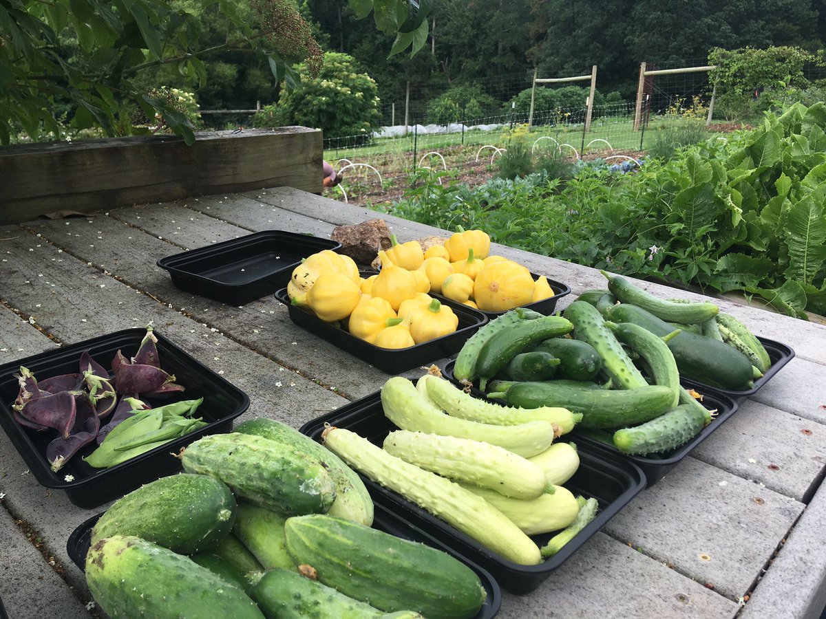 The Umstead Hotel and Spa tweet media