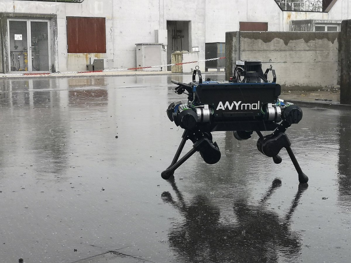 Robotic Systems Lab (@leggedrobotics) on Twitter photo #ANYmal tests in heavy summer rain during #ARCHE. All other robots had to take a break. <a href="/swissrobotics/">Swiss Robotics</a> <a href="/nccrrobotics/">NCCR Robotics</a> <a href="/anybotics/">ANYbotics</a> <a href="/THING_H2020/">THING H2020</a> <a href="/CerberusSubt/">CERBERUS SubT</a> <a href="/ETH_en/">ETH Zurich</a> #ANYmal tests in heavy summer rain during #ARCHE. All other robots had to take a break. <a href="/swissrobotics/">Swiss Robotics</a> <a href="/nccrrobotics/">NCCR Robotics</a> <a href="/anybotics/">ANYbotics</a> <a href="/THING_H2020/">THING H2020</a> <a href="/CerberusSubt/">CERBERUS SubT</a> <a href="/ETH_en/">ETH Zurich</a>