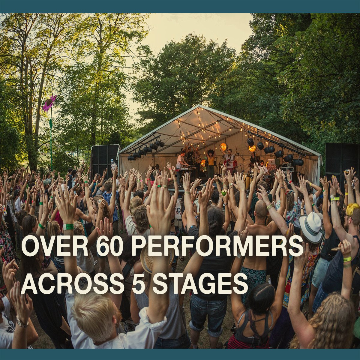 The Folk Forest tweet media