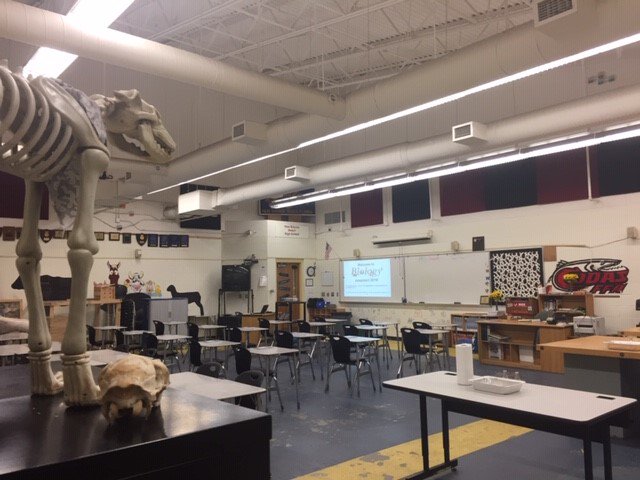 kjohnso_science's tweet photo. Setting up for Jumpstart Biology 2019!!!! #jumpstartbio2019 #NSBHS #NSBMS https://t.co/7bwp2zO6LQ