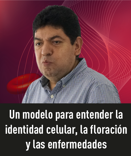 C3UNAM's tweet photo. #C3UNAMNoticias #C3Invitados “Este sistema empieza a convertirse en un paradigma de modelado”, dijo Luis Mendoza sobre el modelo booleano de redes de regulación genética que presentó dentro del ciclo seminarios de invitados del @C3UNAM.
 
Aquí la historia: https://t.co/C4BidQfV9K https://t.co/MWfYbIPlbC