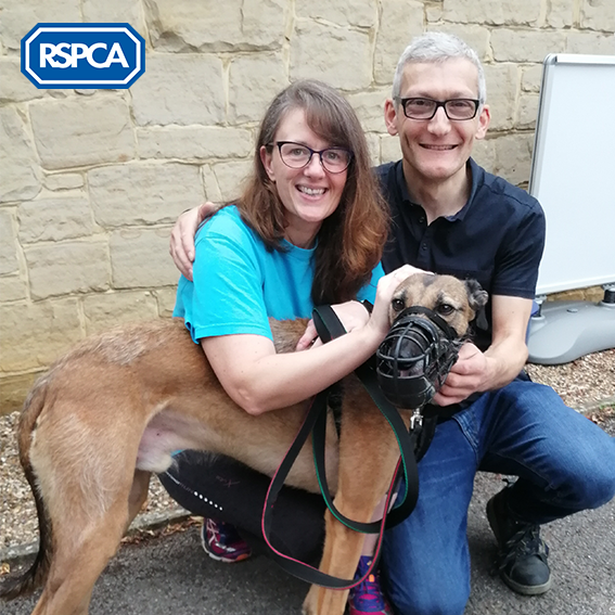🐕 We are delighted to announce that after 578 days of waiting patiently in our care, gorgeous Gary has found his pawfect furever home. Gary has already made himself at home and is enjoying walkies and curling up in his favourite snuggle spot! Read more: bit.ly/2Xic950