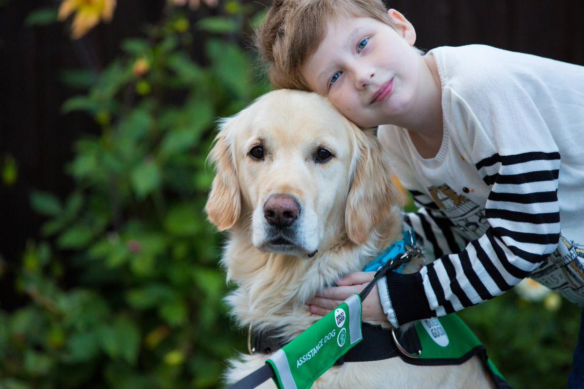 Dogs for Good (@dogsforgooduk) on Twitter photo ‘Before we got Quartz, even leaving the house with Bethany was hard,’ says mum Teresa. Read how autism assistance dog Quartz transformed family life in the <a href="/mailonline/">Daily Mail Online</a> feature about our work. ecs.page.link/W9fGj ‘Before we got Quartz, even leaving the house with Bethany was hard,’ says mum Teresa. Read how autism assistance dog Quartz transformed family life in the <a href="/mailonline/">Daily Mail Online</a> feature about our work. ecs.page.link/W9fGj