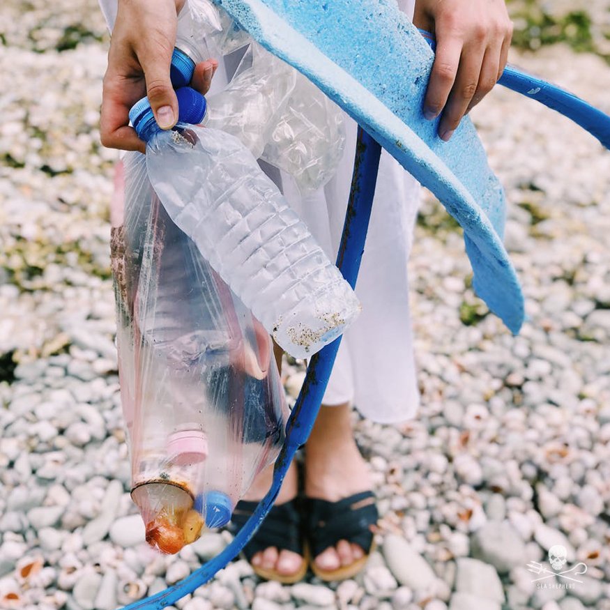 Sea Shepherd US tweet media