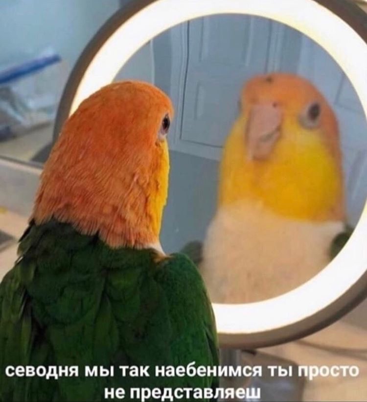 kostykhin's tweet photo. Просто состояние на лето https://t.co/fFzyZq1oQ6