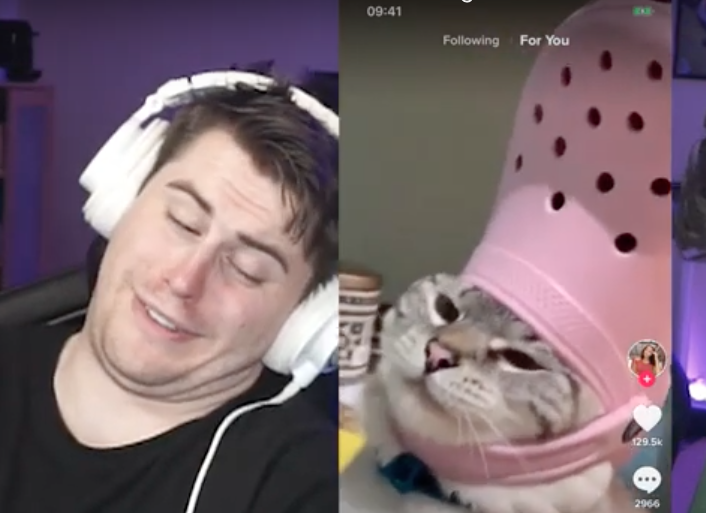 loyalseidisixx's tweet photo. @DaithiDeNogla Our Tale of the Tape is brought to you by Tik Tok, as you can see everything here is virtually identical @Terroriser #UFC333 😻 https://t.co/WvuUj2yACK