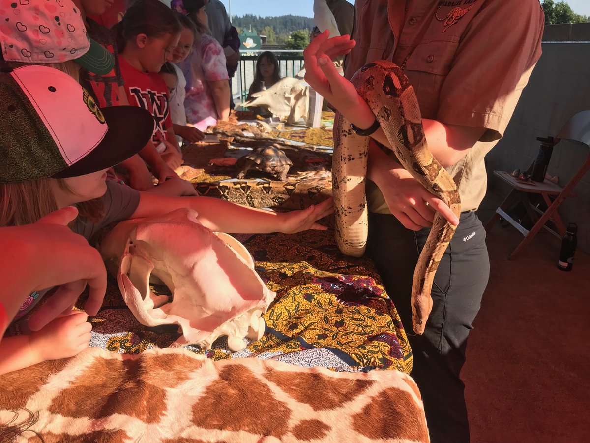 GrantStepanek's tweet photo. Wildlife night at the ballpark with the @EugeneEmeralds! Where is @SKYSPX when you need him? #AfraidOfSnakes https://t.co/fWHzRRa4E9