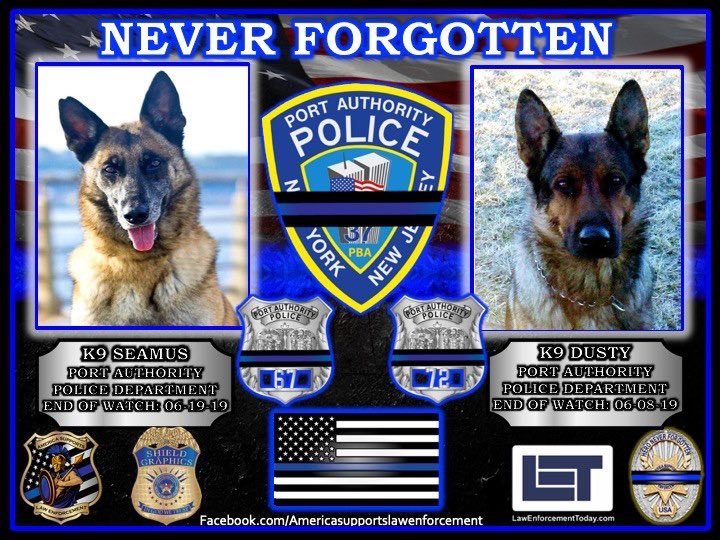 Our Thoughts & Prayers goes to our Blue Family of @PAPD911 ! K9 Seamus & K9 Dusty is Never Forgotten!
#PORTAUTHORITY #PORTAUTHORITYPOLICE #NYNJ #NEWYORKNEWJERSEY #EOW #LODD #ENDOFWATCH #NEVERFORGOTTEN #PAPD #OFFICER #RIP #HERO #OFFICERDOWN #INTHELINEOFDUTY