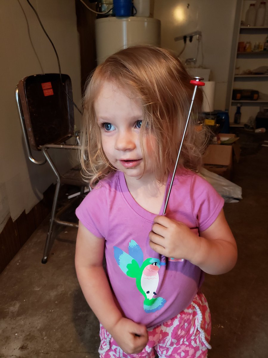 TPCCbrady's tweet photo. Start em young. "I breed cows too daddy" Annabelle likes red cows and the red AI gun. @SelectSiresBeef @selectsires_MN https://t.co/PGg6CpdKMh