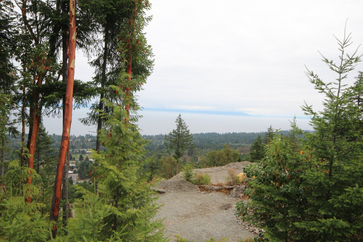 Pheasant_Hill_'s tweet photo. Even on a gray day, the #LantzvilleFoothills offer spectacular homesites to build dream homes on. @DOLantzville is truly a hidden gem. #Lantzville #Nanaimo #DreamHome #homeswithaview #VancouverIslandProperties https://t.co/DHjRbkah4m