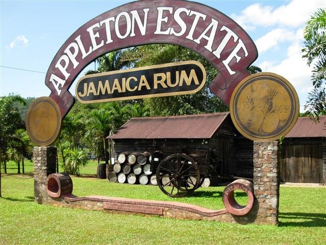 TurtlesNestJa's tweet photo. The Appleton Estate Rum Tour is another fun thing to while staying with us. Just remember to have a good breakfast before you go - they are very generous with their rum samples!!
#appletonrumtour #treasurebeach #thingstodoinjamaica #funholidays #joinmeinjamaica #jamaicanlife https://t.co/joWdVYx6Jy