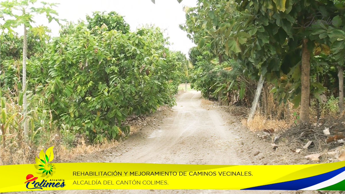 ColimesGad's tweet photo. #Avanzamos | Seguimos trabajando en la rehabilitación y mejoramiento de los Caminos Vecinales de nuestro querido Cantón Colimes.
#JuntosProgresamos
#MiCorazónporColimes https://t.co/Xetlts9fc2