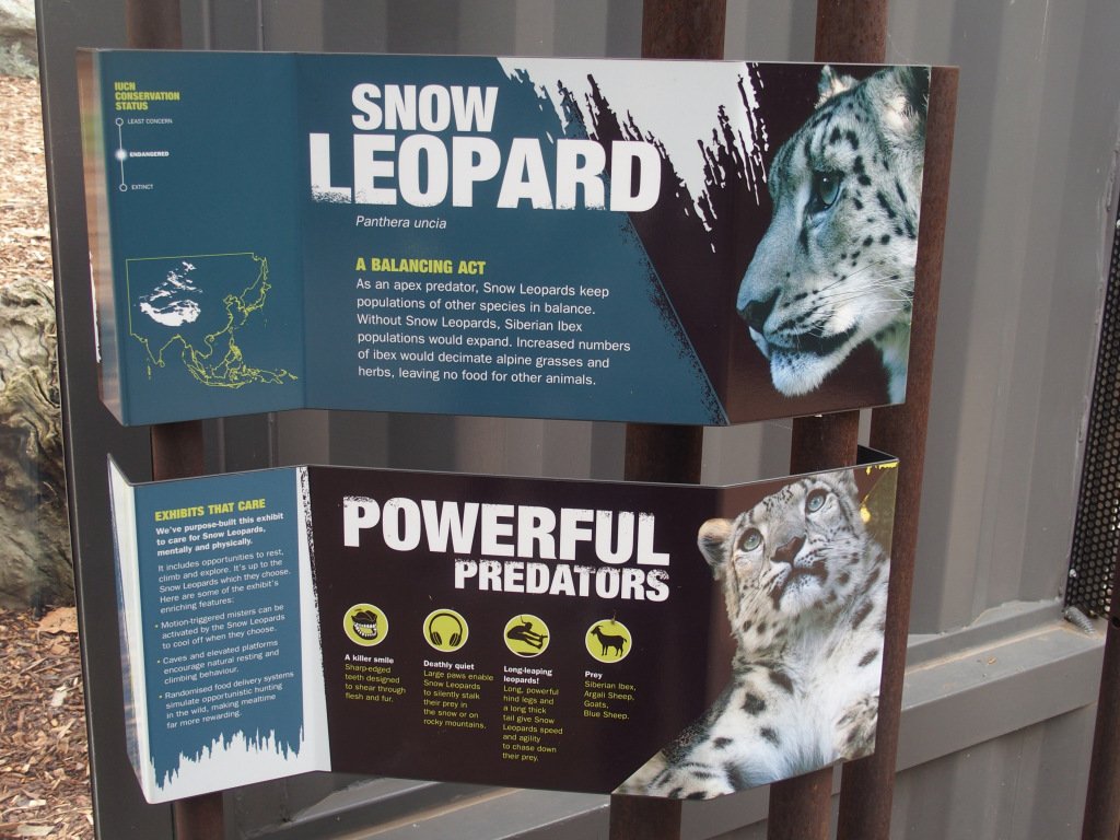 Zoo Soc Auckland  tweet media