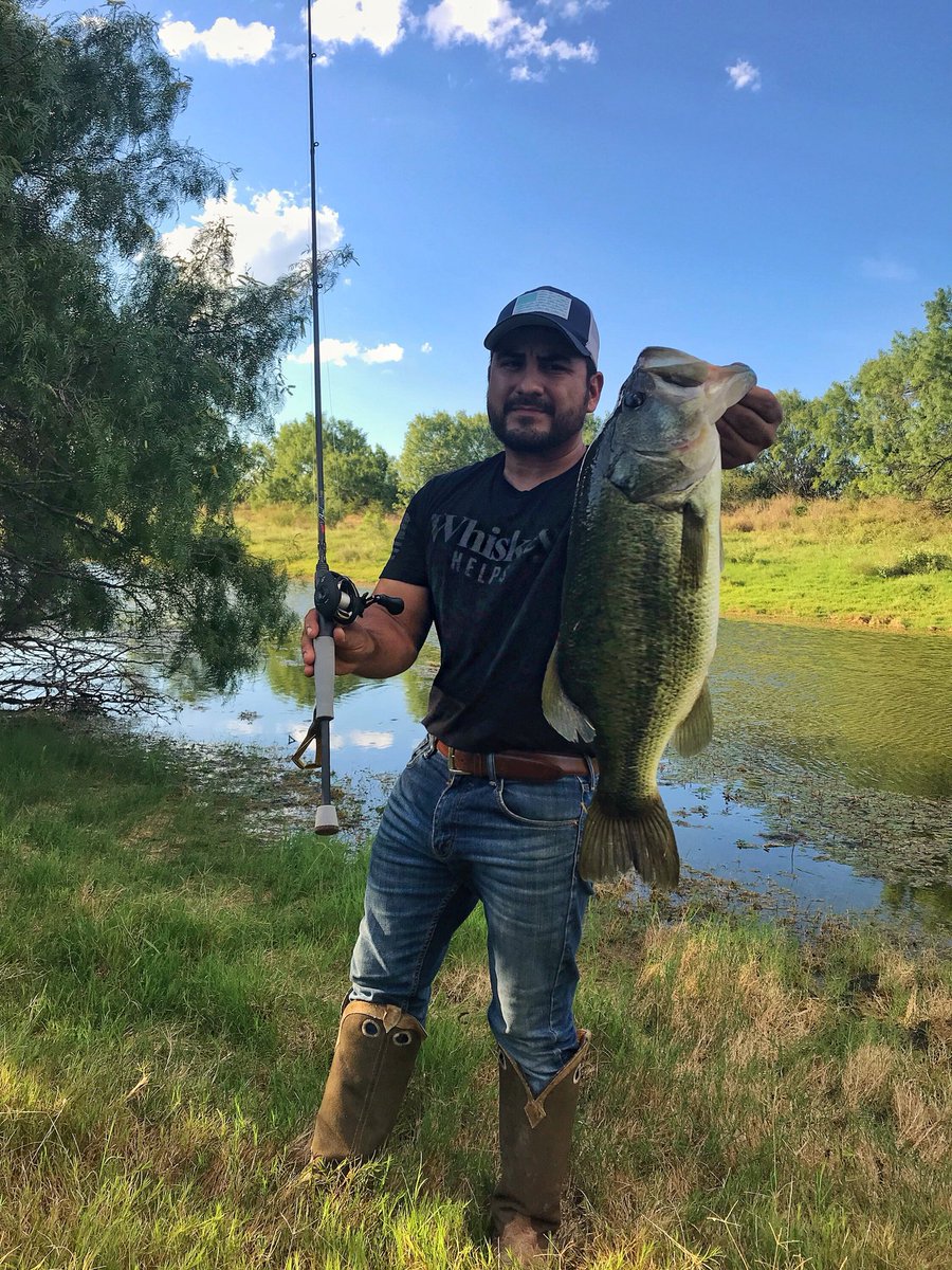 I_guidehunters's tweet photo. Awesome time catching ๐ฃ some fish on some new ponds. I caught this toad today on a top water zoom frog ๐ธ #southtexas #zoomfrogs #pondjumper #frogbite #falconrods #diawareels #toadonatoad #gruntstyle https://t.co/NGYldab4Uj