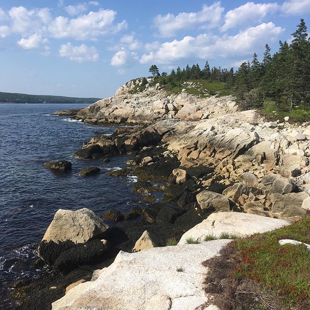 JoelDuggan's tweet photo. This beautiful view from “The Alley”, on the High Head trail in Prospect was the highlight of the hike!
Where to next?? 😁
-
#HighHead #HikeNS #Hiking #Summer #CoastalHike #NovaScotia https://t.co/9LGfT2CcxF https://t.co/EalrYQ6Pcw