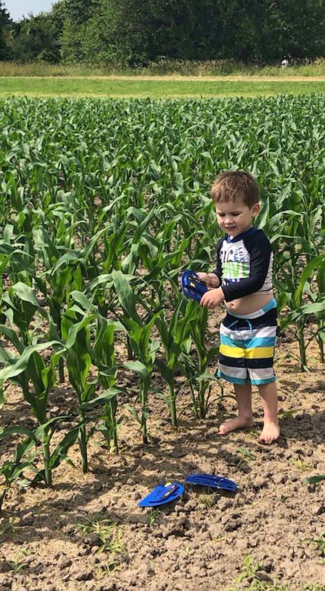 handsorl's tweet photo. 8 days can make a big difference Hopefully this continues #PlantCanada2019 #plant19 @FCCagriculture @AgMoreThanEver #corn2019 https://t.co/qTL3QR19Cc