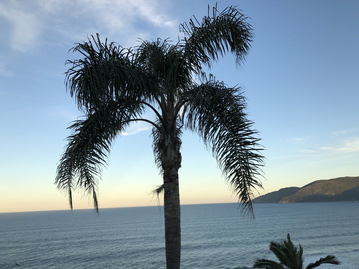 FrMichelRemery's tweet photo. God, thank you for your presence in the beauty of nature, in the freshness of the breeze, the vastness of the sea, the work on our mission with great collegues, and in the contemplative conversation with good friends! #TwGOD #OnlineSaints https://t.co/mVD8ySEnNc