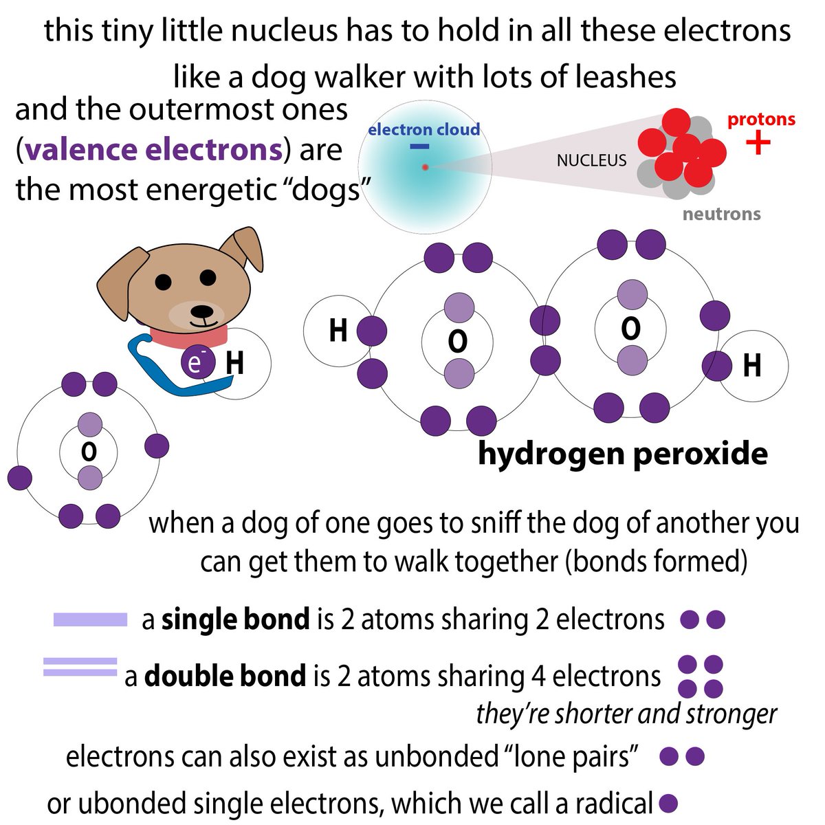 Who let the dogs out? The reducing agent but NOT the acid! The acid let out a dogless dog walker! Acid/base reactions DIFFER from redox - let me explain in a way that’s unorthodox…  http://bit.ly/2XBhNUQ  #365DaysOfScience  #biochemistry  #scicomm  #realtimechem