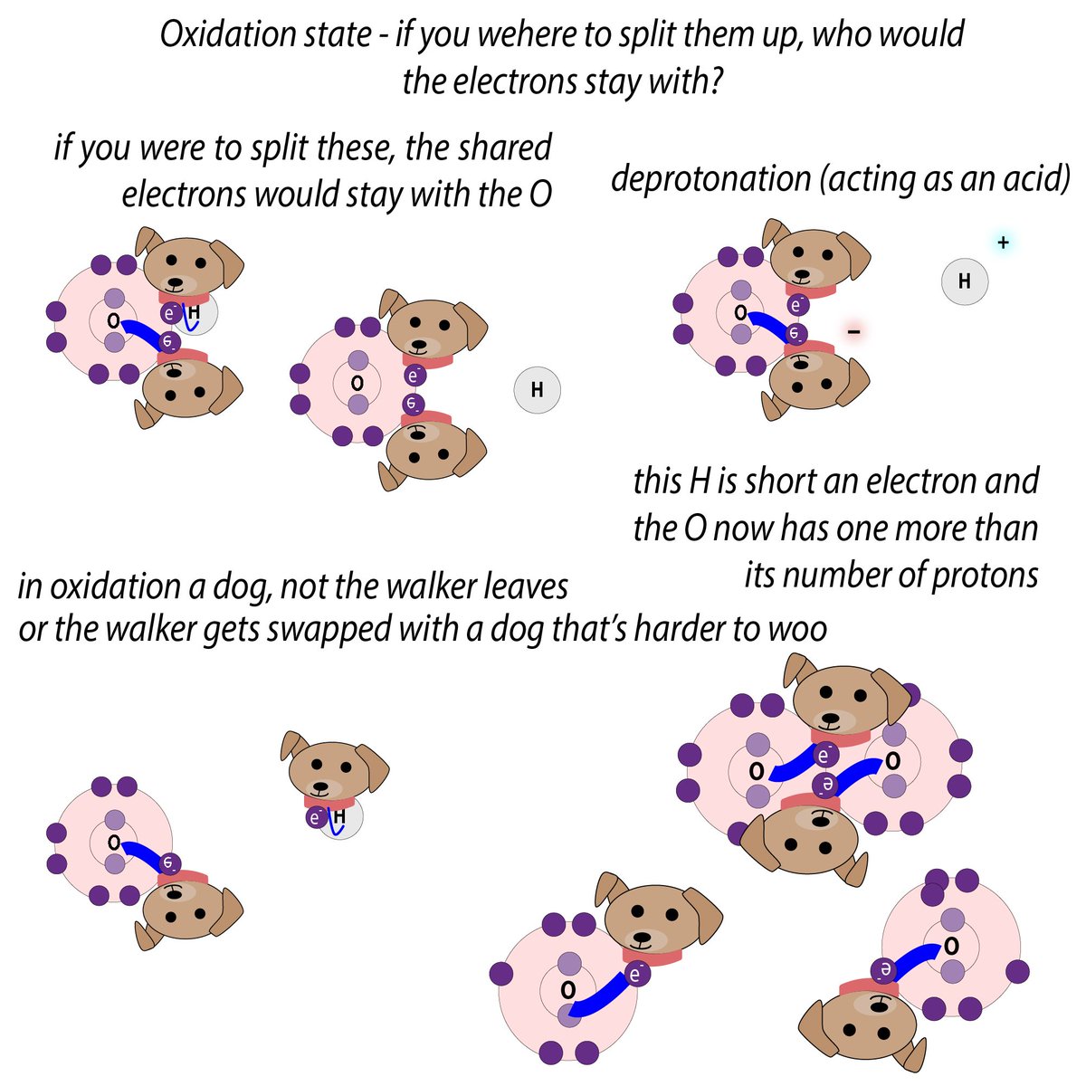 Who let the dogs out? The reducing agent but NOT the acid! The acid let out a dogless dog walker! Acid/base reactions DIFFER from redox - let me explain in a way that’s unorthodox…  http://bit.ly/2XBhNUQ  #365DaysOfScience  #biochemistry  #scicomm  #realtimechem
