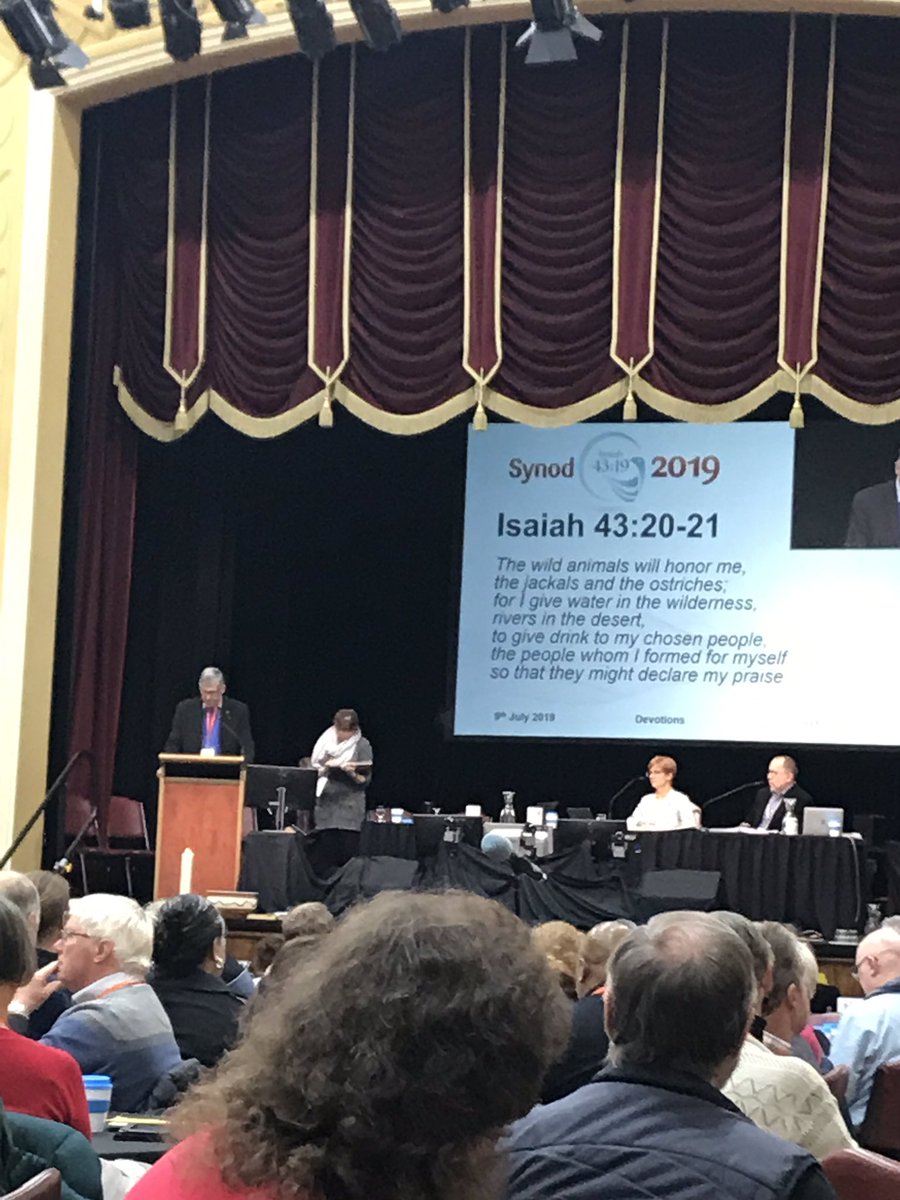 Morning reflection - a new thing springs forth - do you perceive it? All the new things. Opening to new possibilities. #victassynod2019 #allofthisisus