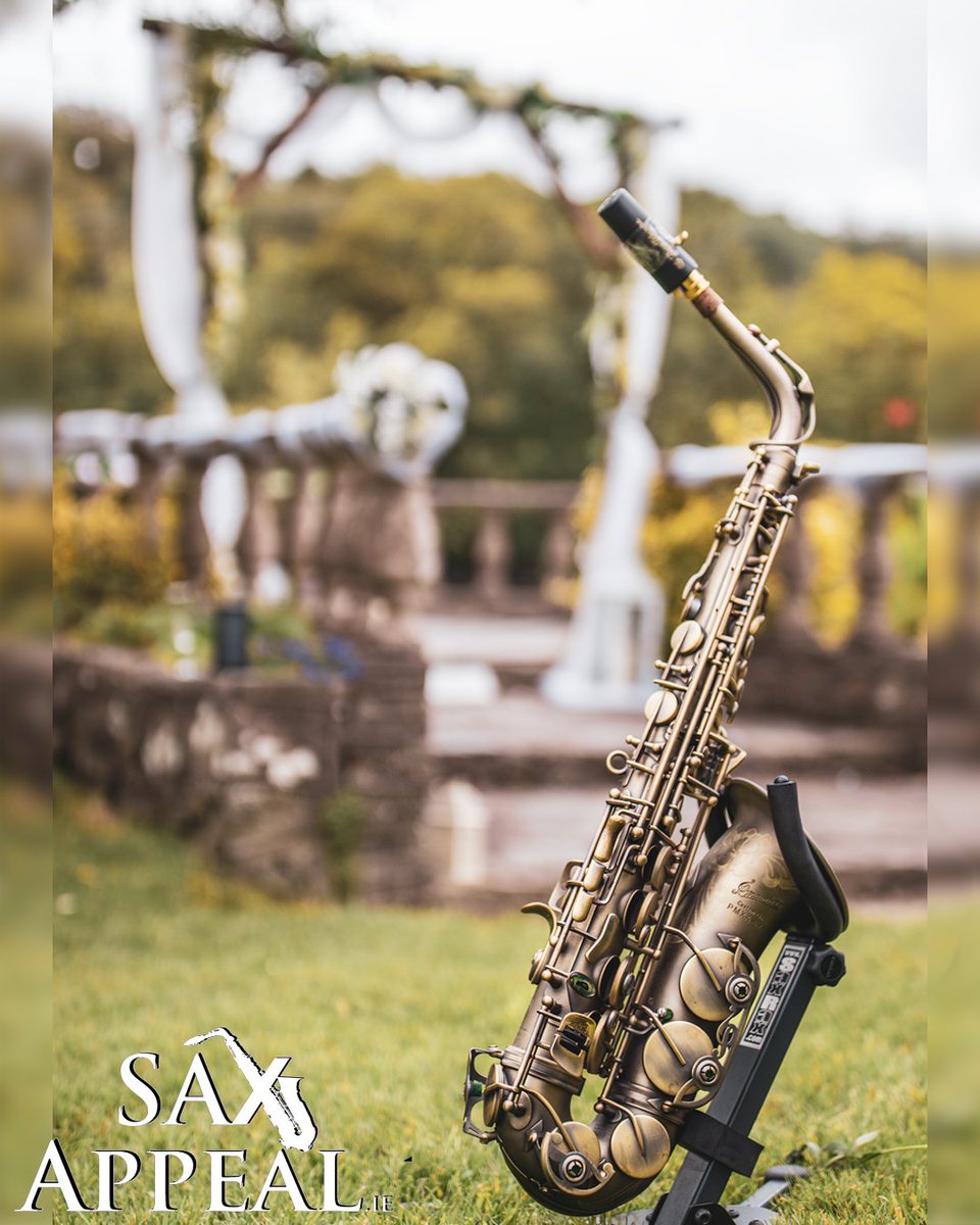 SaxAppealIRL's tweet photo. Sax Appeal, truly exceptional entertainment for your event! 🎷🎧 https://t.co/aWz5Cp43GO