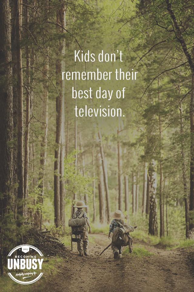 Join us for some Family Fun on July 19! - mailchi.mp/e38ea5043830/j… #RondeauProvincialPark #FreeParkDay #LivingCK