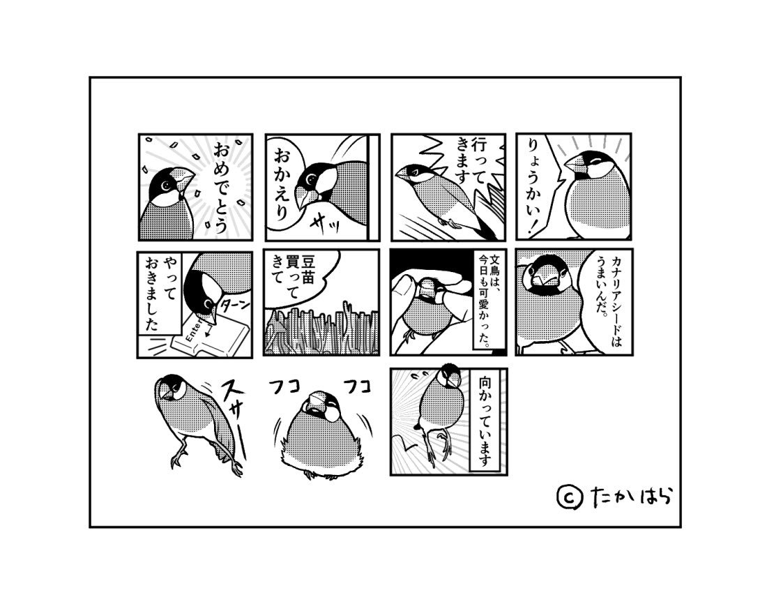 見やすいように一コマ文鳥スタンプまとめてみました。まだまだ増えます。
#一コマ文鳥 #文鳥 