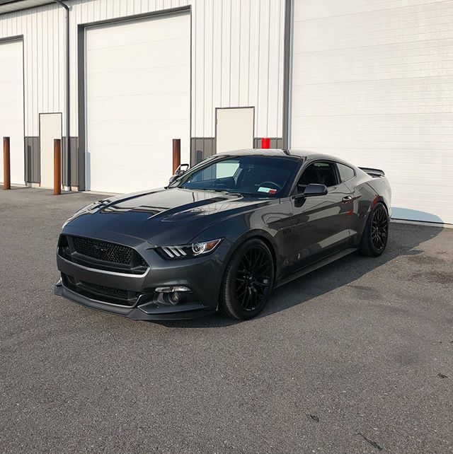 ExecutiveWraps's tweet image. Gloss Black Roof Wrap for this Mustang 5.0 ----------------------------------------------------- @roceuro @wrapchannel @paintisdead @wrapinstitute @metrorestyling  @thewrappromoter @executivewrap ----------------------------------------------------- #wra… ift.tt/32fr7MJ