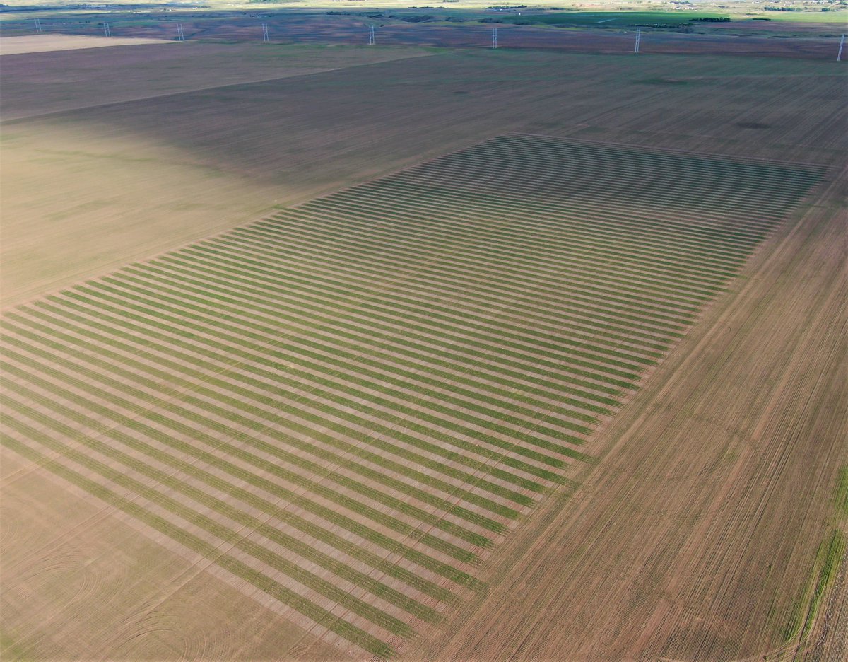 UYMI Agronomy tweet media