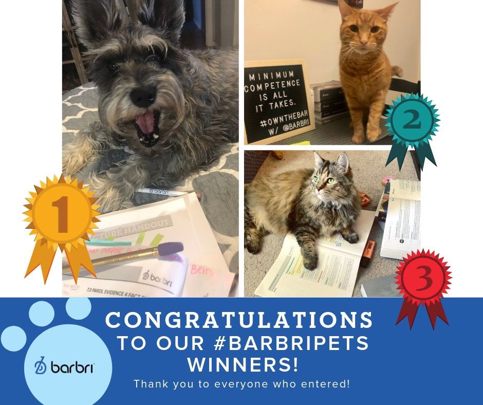 barbri's tweet photo. Congratulations to our #BARBRIPets winners!! Thank you to everyone who participated! We hope your #BarPrep #studybuddy helps you #OwnTheBar! #GoBARBRI #BarPrepLife #LawTwitter https://t.co/jTmM1XASAe
