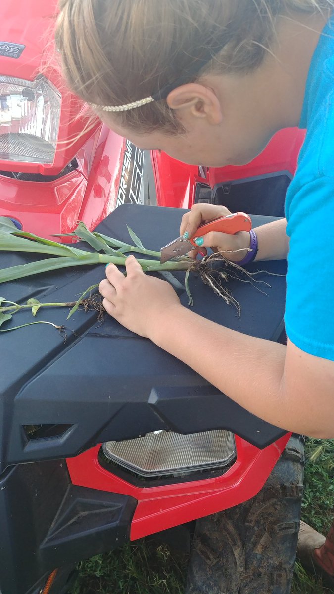 Lindsey Berg tweet media