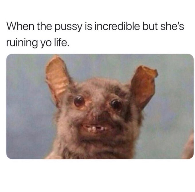 Lol https://t.co/ugbF0nrKn6<a href="/tag/thankyou"class="tags"><span>#thankyou</span></a><a href="/tag/nophones"class="tags"><span>#nophones</span></a>