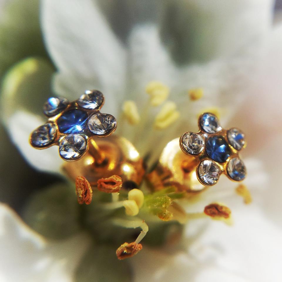 StudexMe's tweet photo. Beautiful daisy studs (gold plated or 14K karat gold) for ear piercing with #StudexSystem75 or as regular (non-piercing) #SensitiveByStudex studs.
Find a store: https://t.co/rGbnD5KUoi
#jewelry #hypoallergenic https://t.co/rEw34LJ4i6