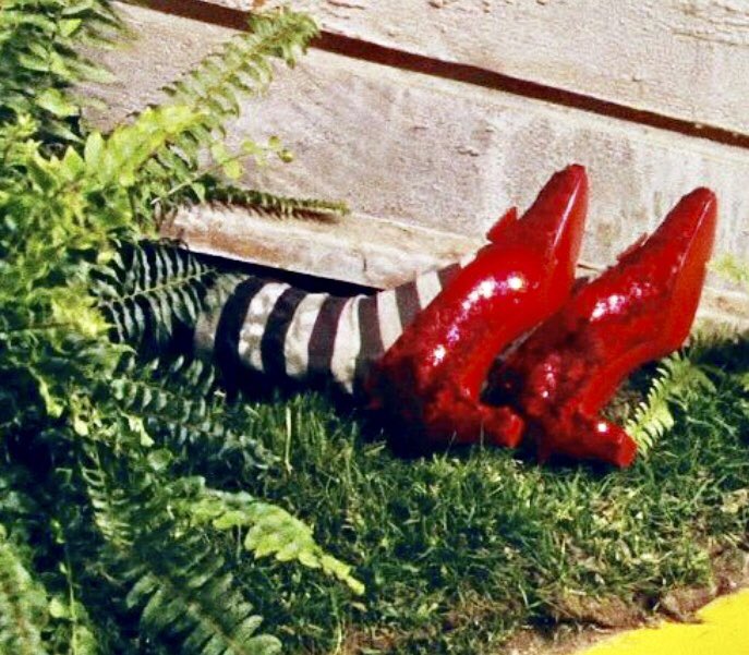 JackMoo37382053's tweet image. Unwanted Ivanka