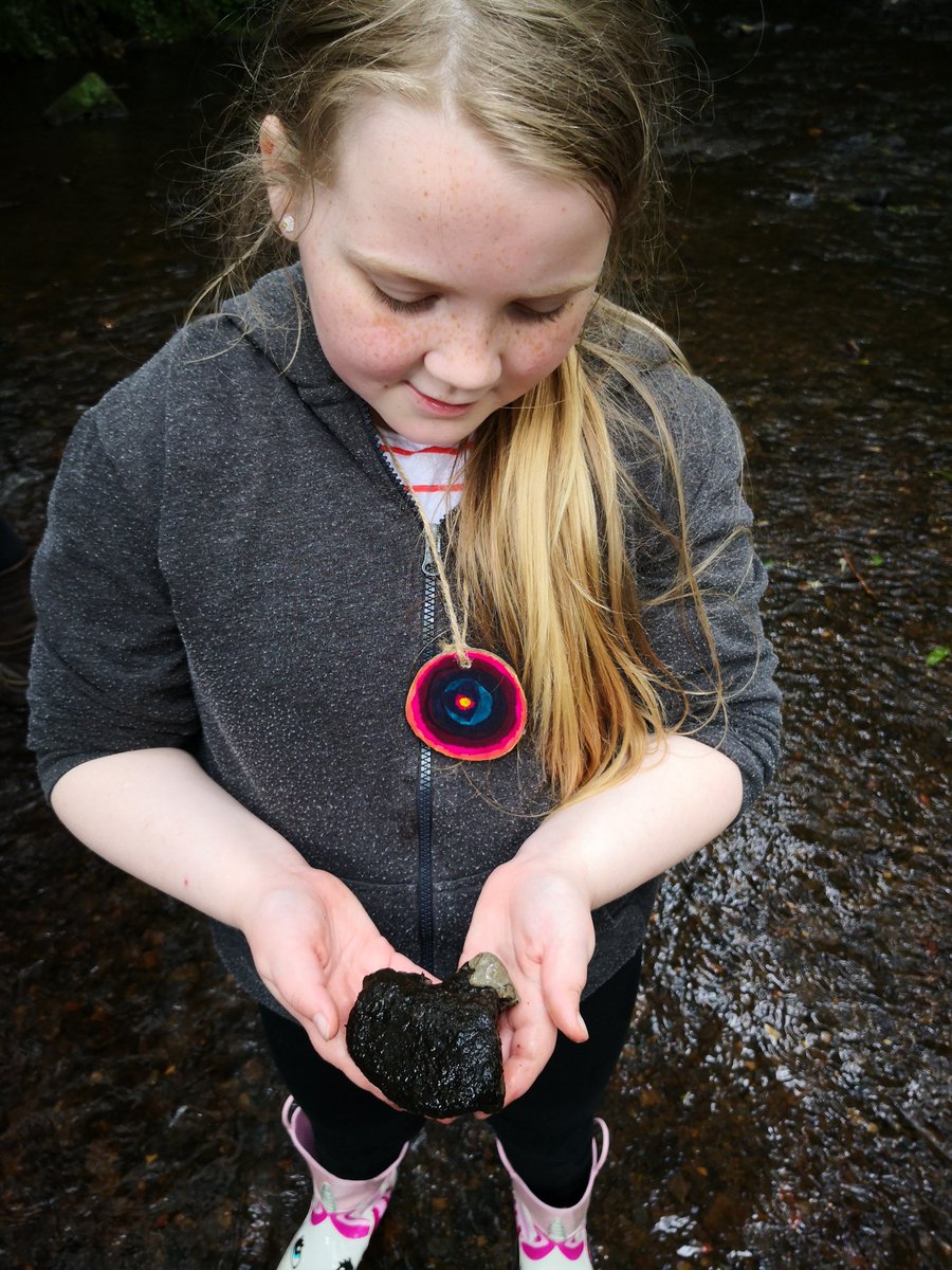 The Nature Box Forest School tweet media