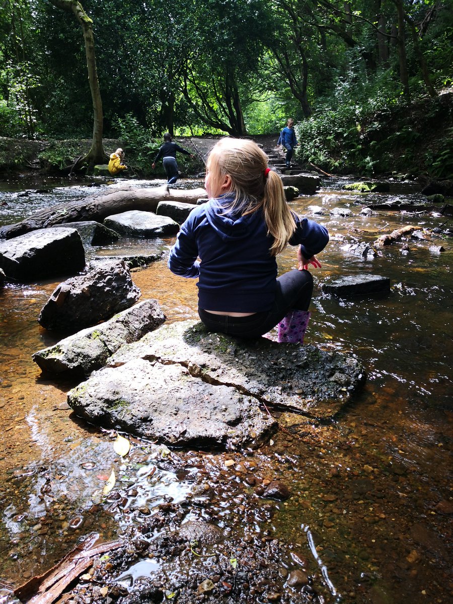 The Nature Box Forest School tweet media